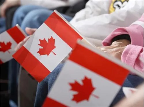 加拿大自雇计划的评估标准是什么 ？