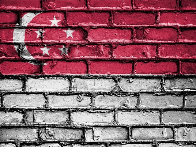 新加坡自雇移民